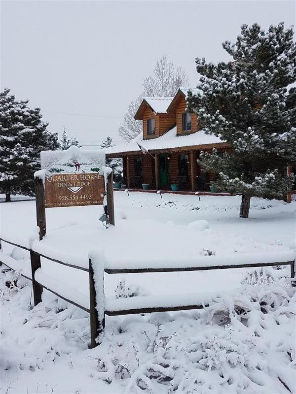 Quarter Horse Inn & Lodge Williams Extérieur photo