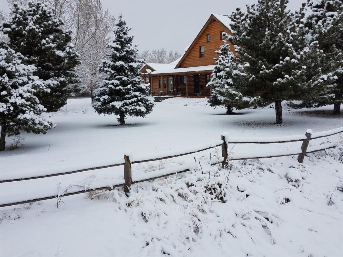 Quarter Horse Inn & Lodge Williams Extérieur photo